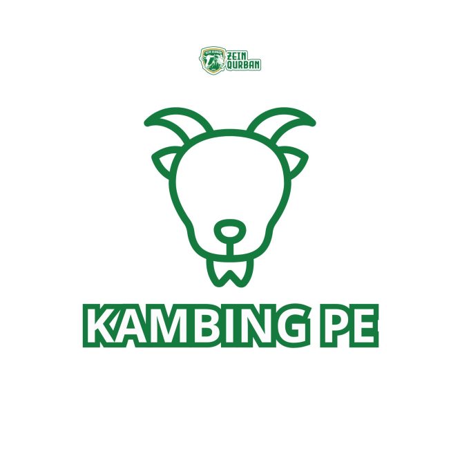 Kambing PE