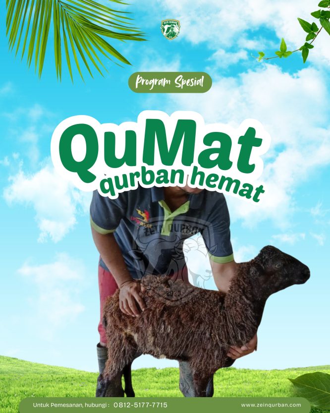 Qurban Hemat 20Kg